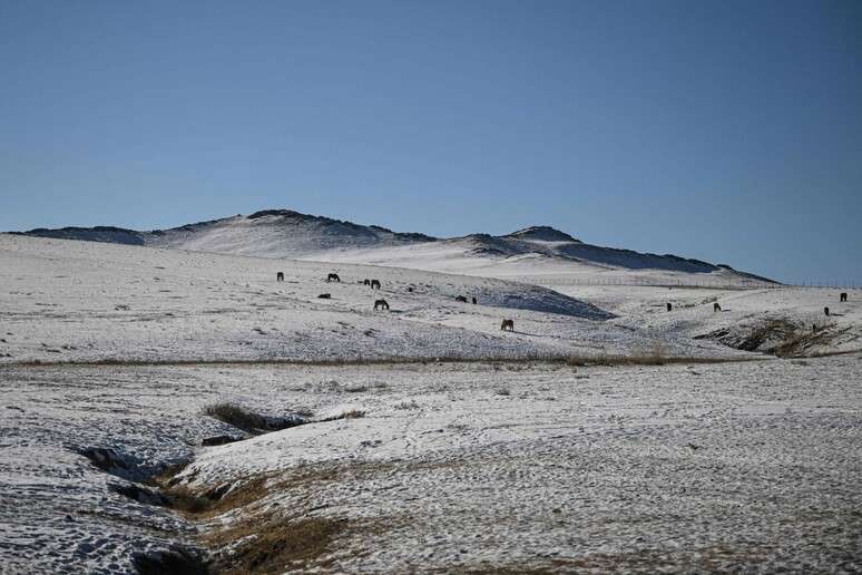 Mongólia é um dos países mais afetados pelas mudanças climáticas