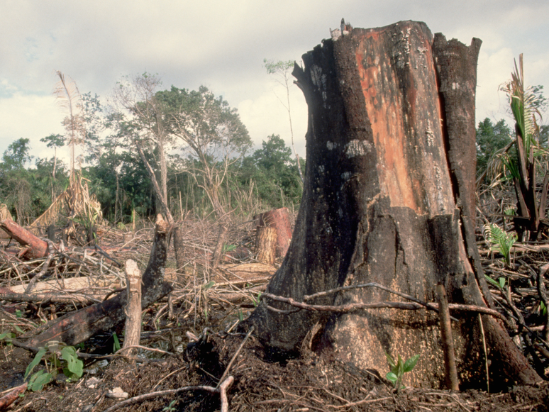 Too late? Scientists warn that the planet is about to exceed irreversible climate limits Too late? Scientists warn that the planet is about to exceed irreversible climate limits