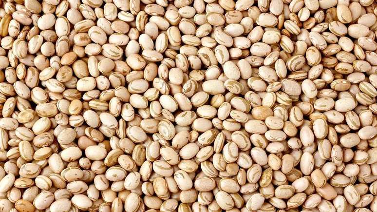 Feijão engorda? Veja os benefícios