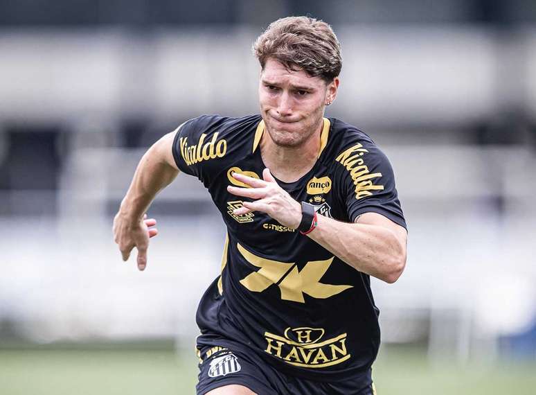 Rollheiser ainda n&atilde;o justificou o investimento feito pelo Santos &ndash;