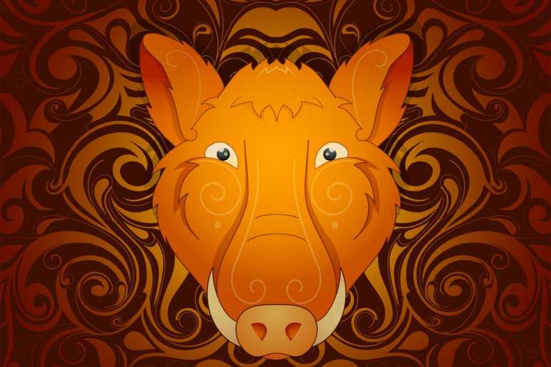 Os nativos do Javali poder&atilde;o realizar escolhas importantes no m&ecirc;s de novembro 