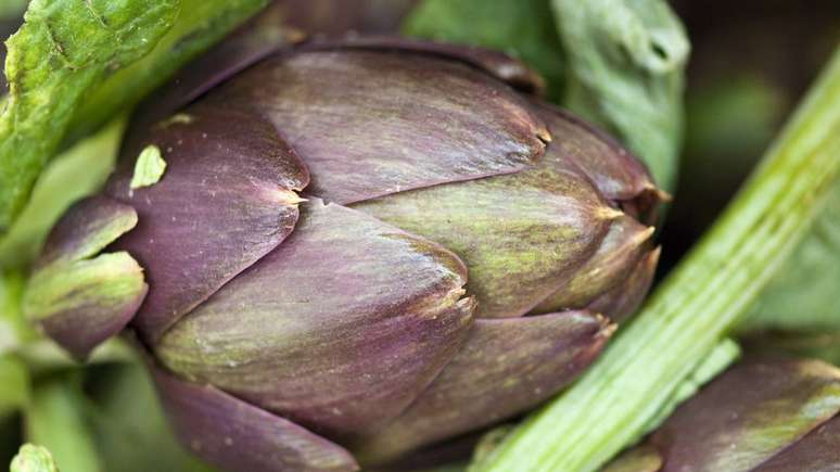 Apesar dos benef&iacute;cios, o consumo deve ser moderado e orientado por profissionais &mdash; especialmente para gestantes, lactantes e pessoas com doen&ccedil;as renais &ndash; depositphotos.com / jovannig