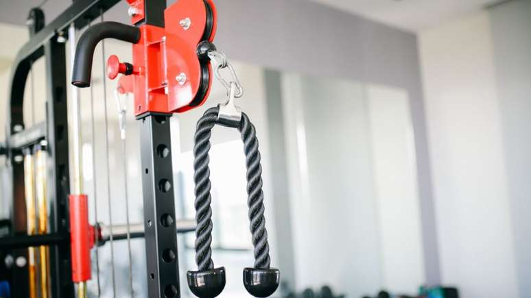 The study states that exercises with free weights and machines complement each other