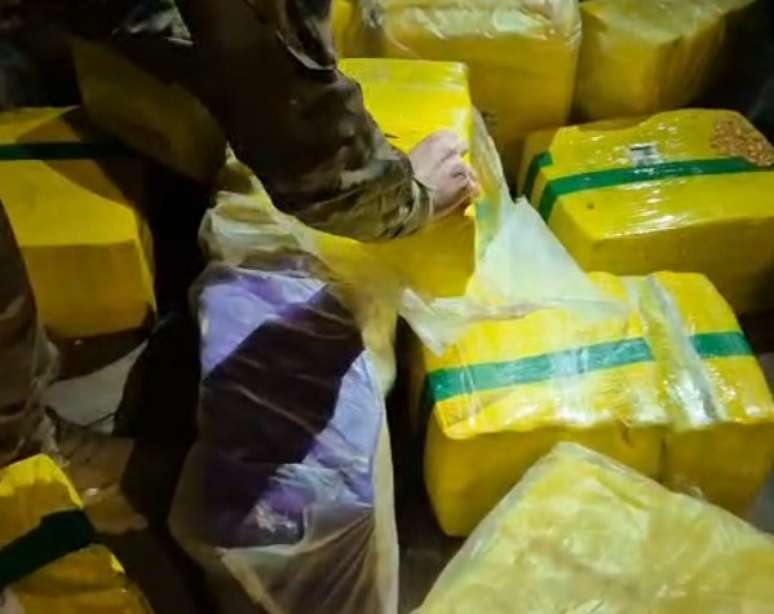 Over 800kg of marijuana were found in a load of corn in the Porto Alegre metropolitan region Over 800kg of marijuana were found in a load of corn in the Porto Alegre metropolitan region