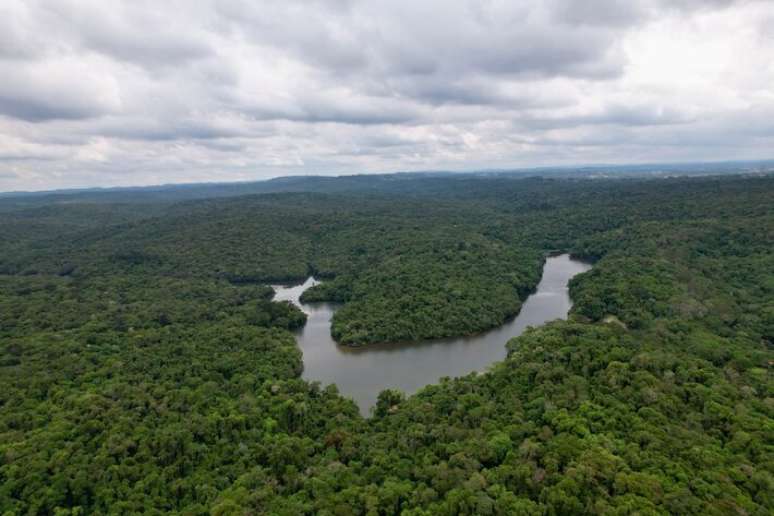 Floresta urbana de mais de 10 mil hectares em Cotia, na grande SP, se tornou parque estadual
