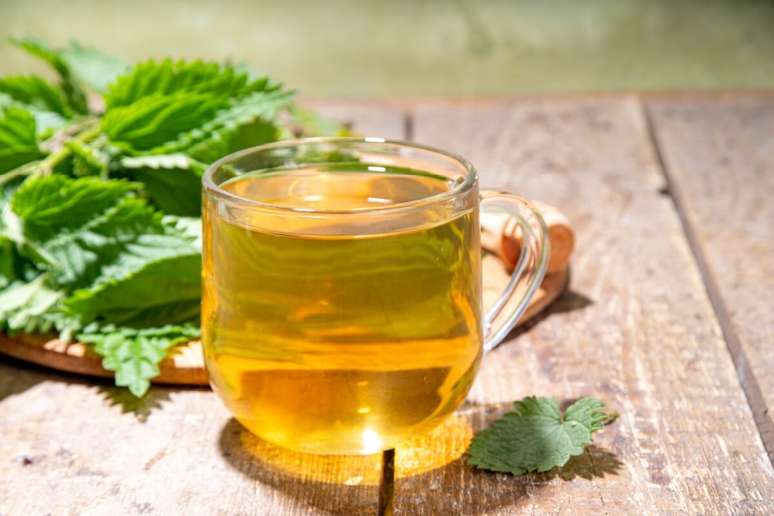 రేగుట ఆరోగ్య ప్రయోజనాలను అందించే ఔషధ మొక్క