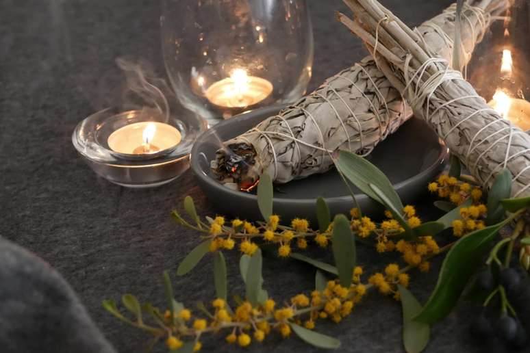 A s&aacute;lvia ajuda a atrair boas vibra&ccedil;&otilde;es 