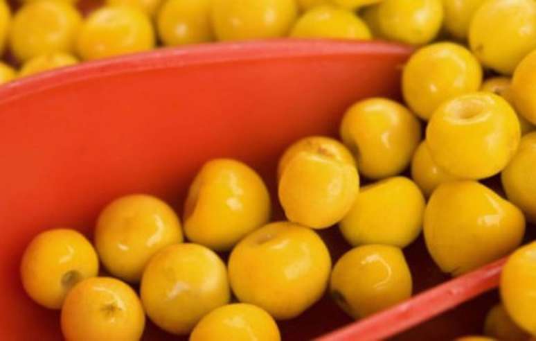 Conheça os benefícios do nanche para a saúde