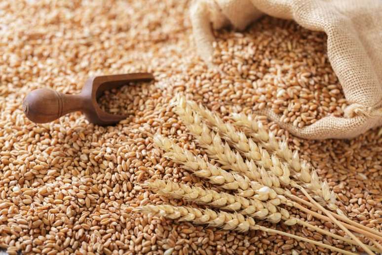 O trigo, devido aos carboidratos complexos, ajuda fornecer energia de forma gradual 