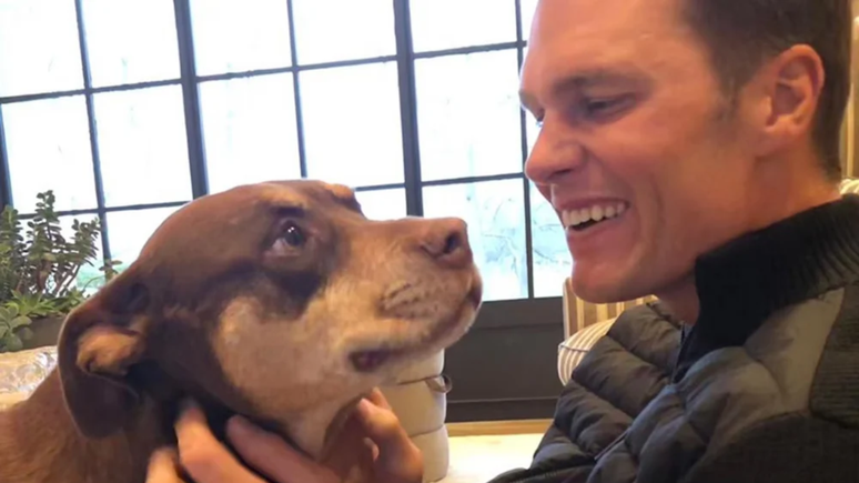 Para o procedimento, Tom Brady usou uma amostra de sangue da mestiça de pit bull Lua, que morreu em dezembro de 2023