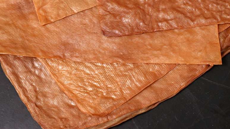 கொம்புச்சா துணி விலங்குகளின் தோலை மாற்றும் திறன் கொண்டது