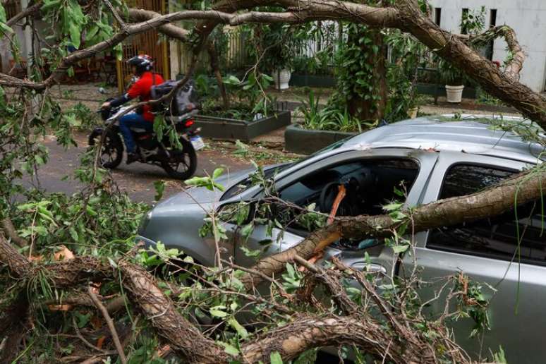 Forte ventania derrubou árvore sobre carro em Copacabana, zona sul do Rio de Janeiro.