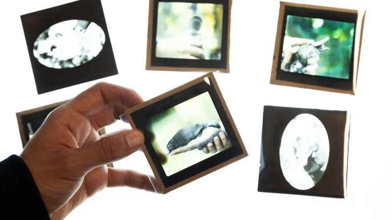 Os registros sobre a vida de Winston acabaram em coleções de museus na Austrália e no Reino Unido