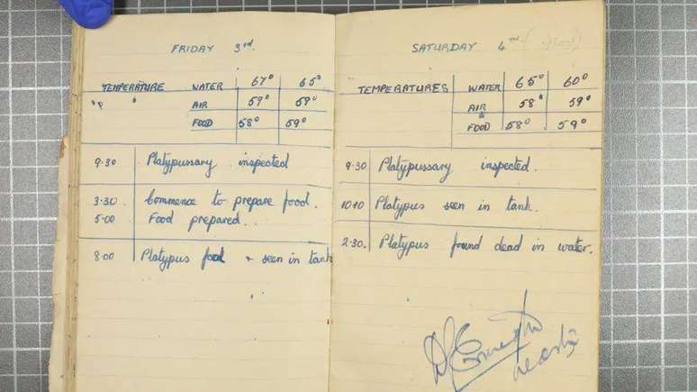 O diário de bordo mostra que as temperaturas diminuíam à medida que o navio se aproximava da Inglaterra. Mas o alívio chegou tarde demais para salvar Winston, 'encontrado morto na água'