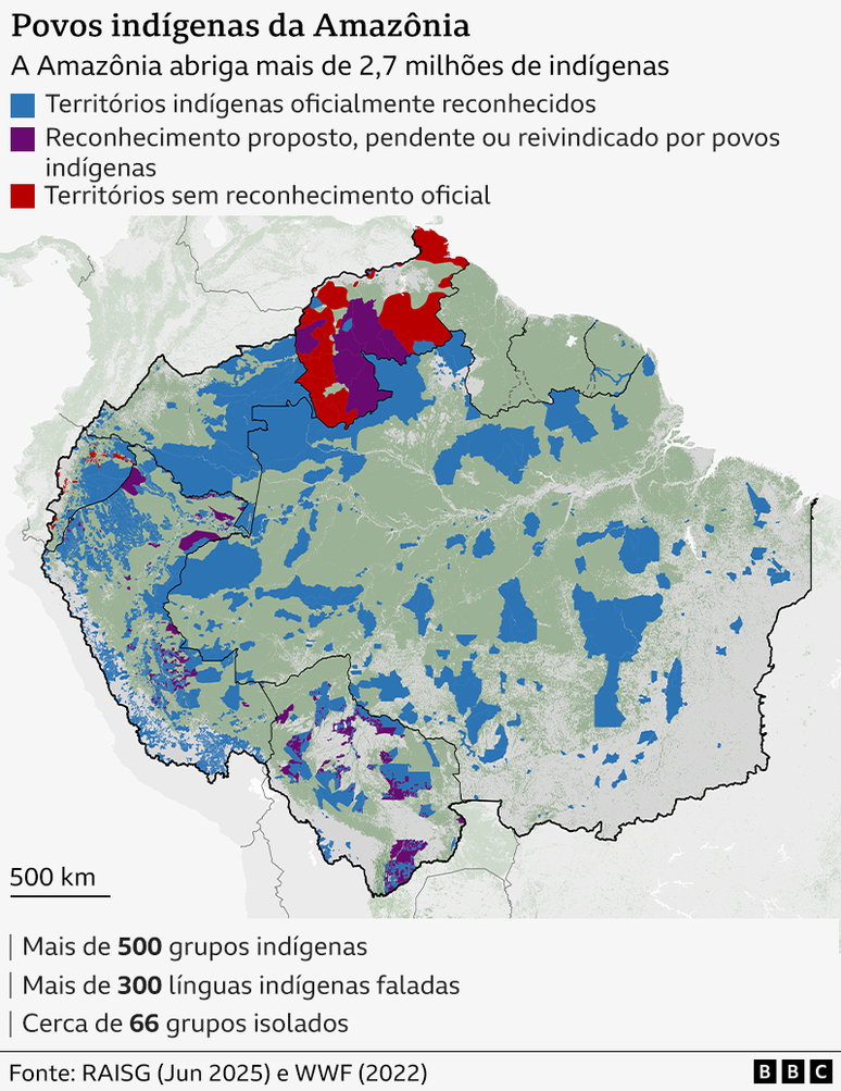 Infogr&aacute;fico mostrando o mapa dos territ&oacute;rios ind&iacute;genas na Amaz&ocirc;nia e informa&ccedil;&otilde;es sobre os povos ind&iacute;genas