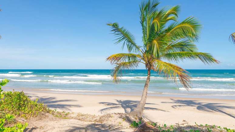 Com pôr do sol no Mirante da Concha, culinária regional e eventos que celebram a tradição local, Itacaré se firma como um dos destinos mais completos do ecoturismo brasileiro – depositphotos.com / Junot