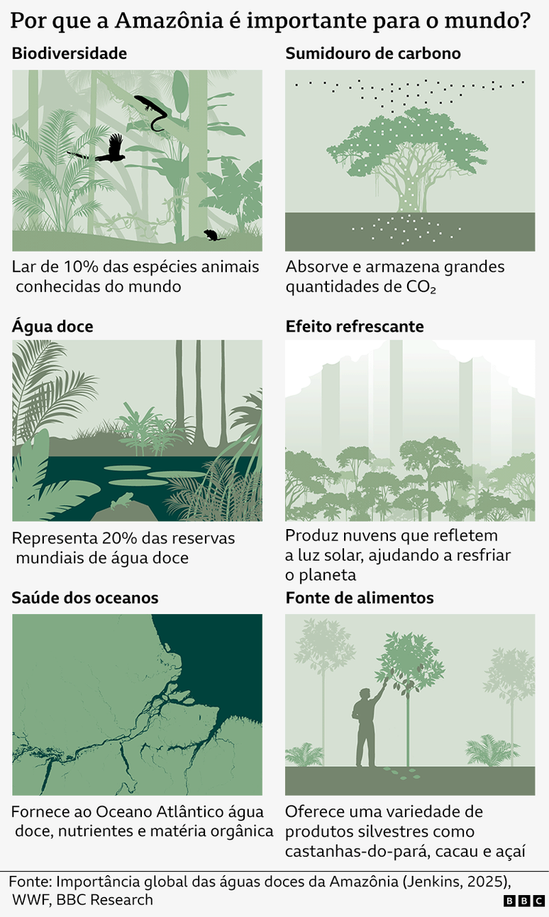 Infogr&aacute;fico resume as raz&otilde;es pelas quais a Amaz&ocirc;nia &eacute; importante para o mundo