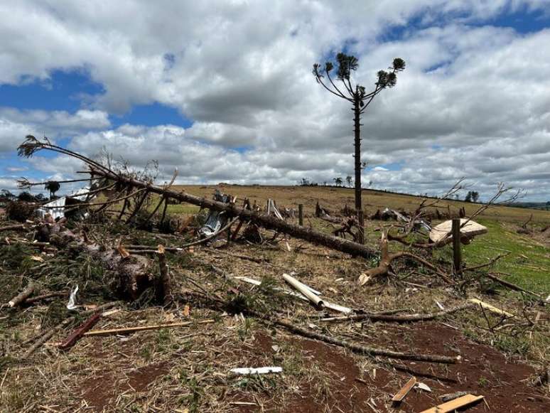 Área atingida por tornados no Paraná na noite de de 7 de novembro
