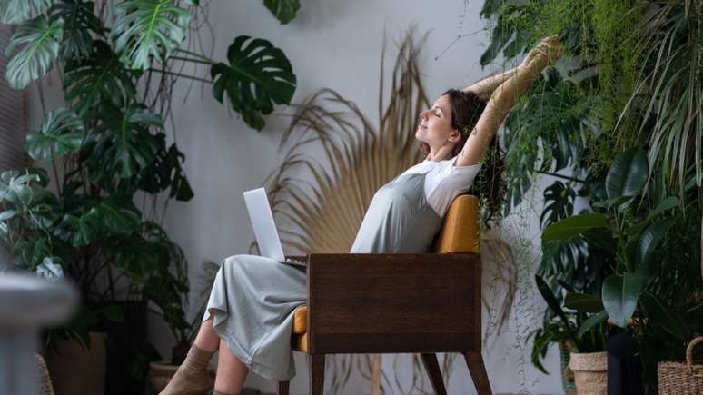 Com essas plantas vai ficar mais f&aacute;cil de deixar sua casa com aquela carinha de 'urban jungle'