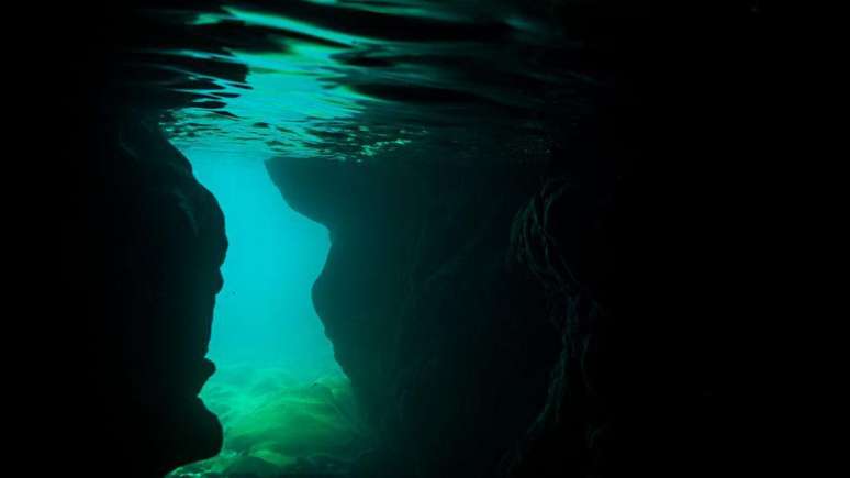 A luz começa a escassear a 40 metros de profundidade