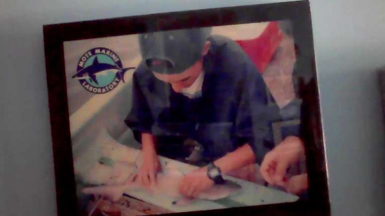 Hoyos tem uma foto da primeira vez em que manipulou um tubarão