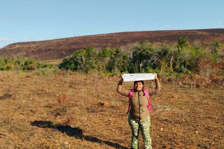 "Sei mais das florestas do que da minha m&atilde;e": Thamyres Sabrina Gon&ccedil;alves especializou-se no estudo da hist&oacute;ria ancestral do ecossistema em que nasceu e foi criada - os Cap&otilde;es de mata, ilhas de Mata Atl&acirc;ntica no meio do Cerrado. Ela relata a tristeza de sentir na pele a destrui&ccedil;&atilde;o cada vez mais acelerada pelas queimadas dos locais que a inspiraram a estudar as origens desses ecossistemas &uacute;nicos, que oferecem pistas da pr&eacute;-hist&oacute;ria bot&acirc;nica brasileira.