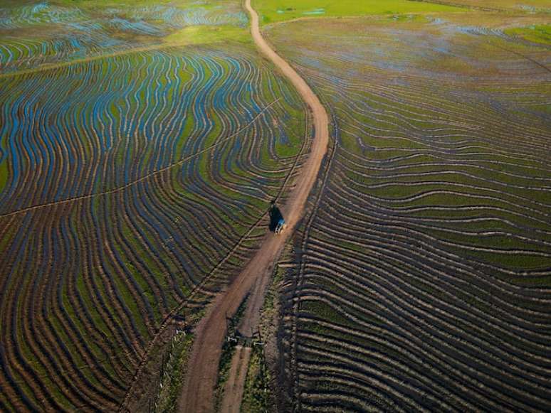 Os produtores ga&uacute;chos v&ecirc;m de cinco anos agr&iacute;colas ruins: foram quatro estiagens severas e ao menos uma grande enchente