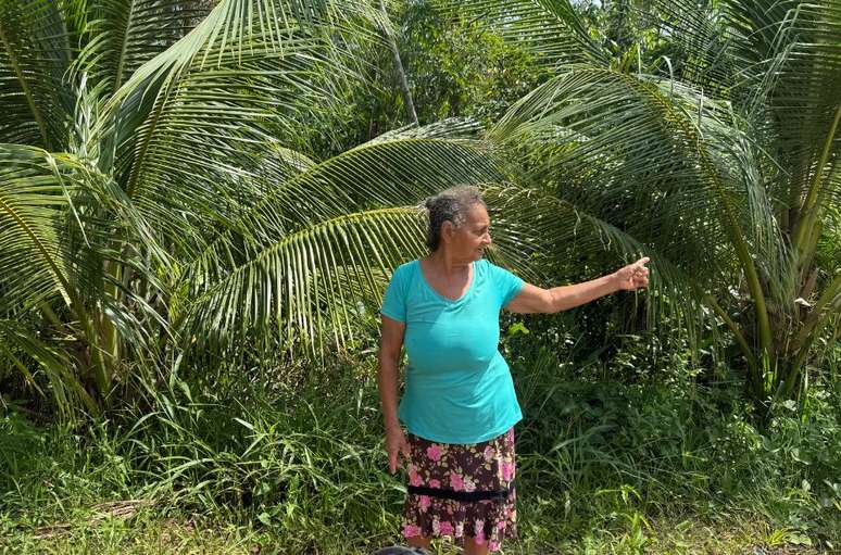 Dona Dalva mostra &aacute;rvores que a pr&oacute;pria comunidade plantou