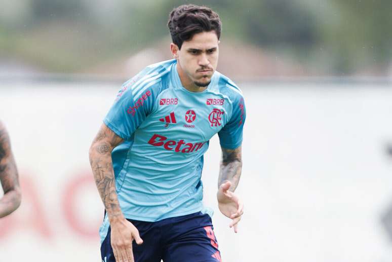 Pedro sofreu fratura no antebra&ccedil;o e segue em recupera&ccedil;&atilde;o &ndash;