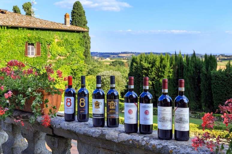 Itália manteve título de maior produtora mundial de vinhos