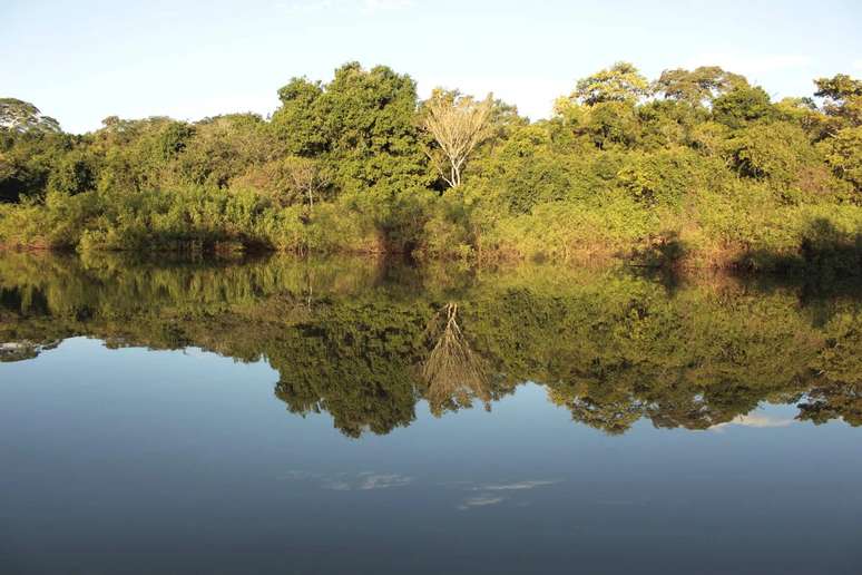 Parque Estadual Pantanal do Rio Negro 