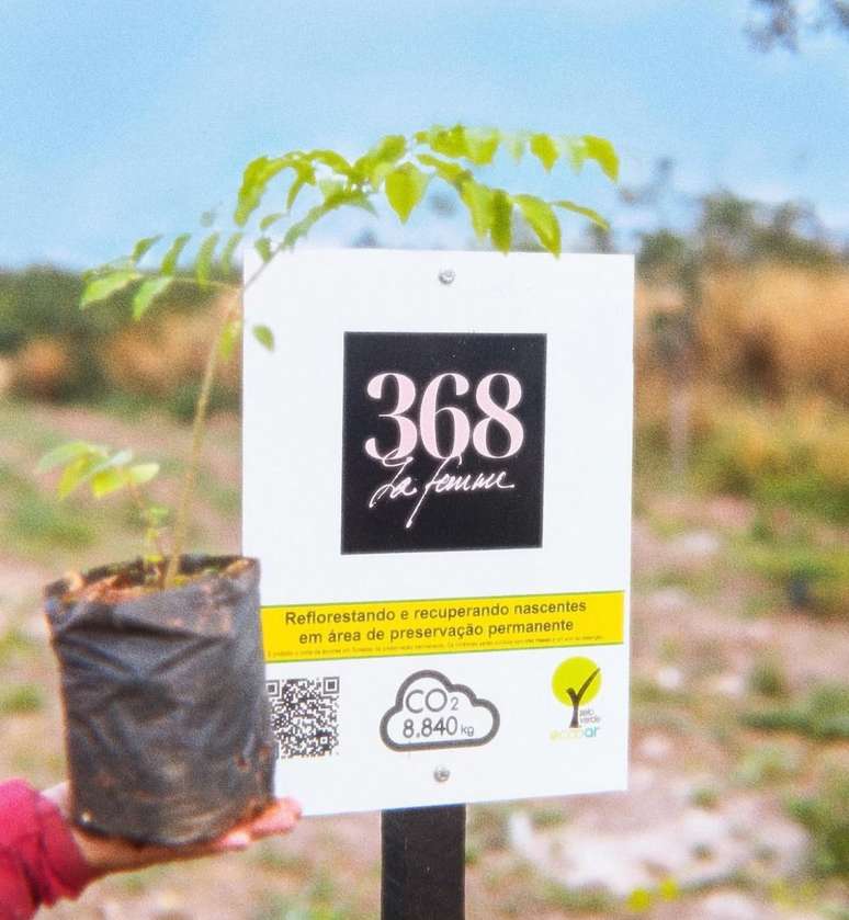 O bosque da 368 fica localizado no interior de São Paulo