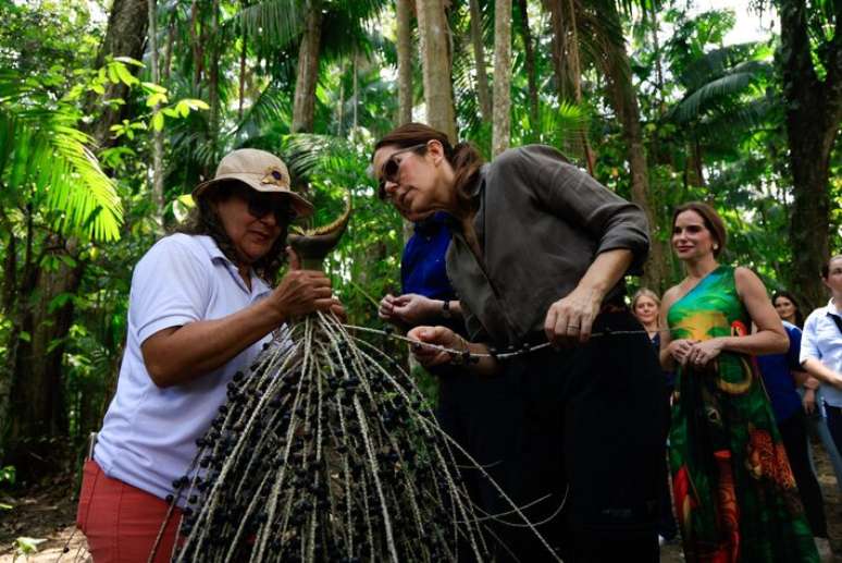 Mary se surpreendeu com a técnica de colheita de açaí.
