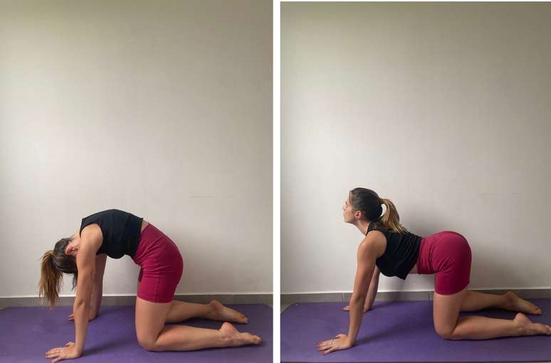 Cat/Cow Pose (Marjariasana)