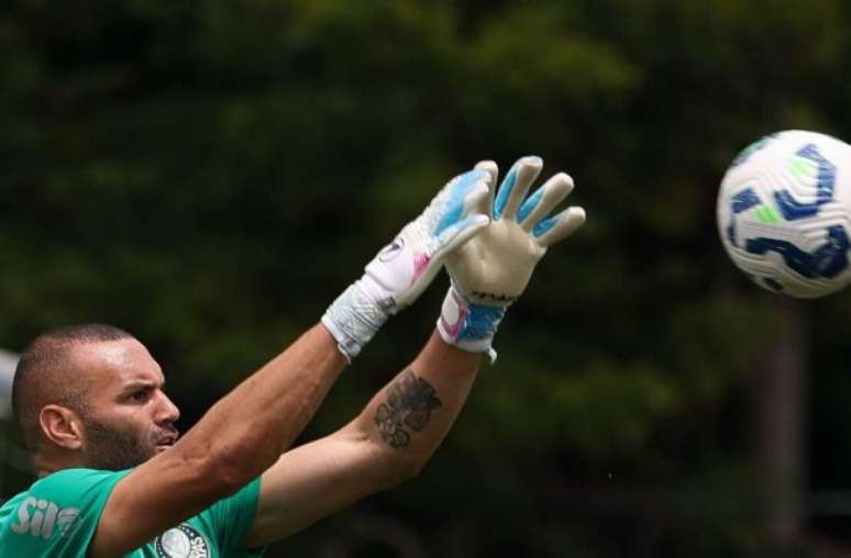 Palmeiras treina visando clássico contra o Santos –