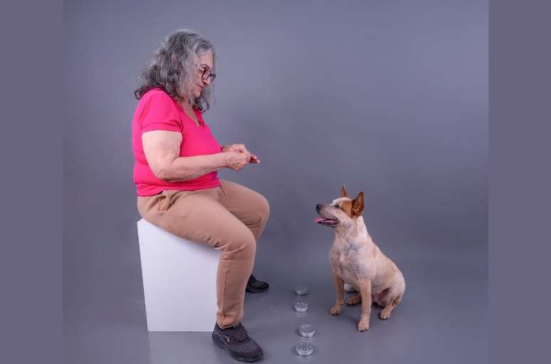 Guria &eacute; treinada para identificar quando tutora est&aacute; em crise de diabetes ou glicemia