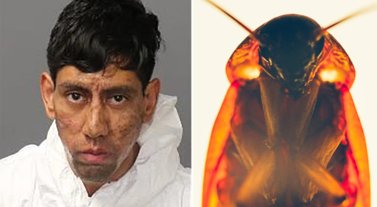 Alexis Hernandez, 25, afirma ter cometido dois homícido a mando e barata