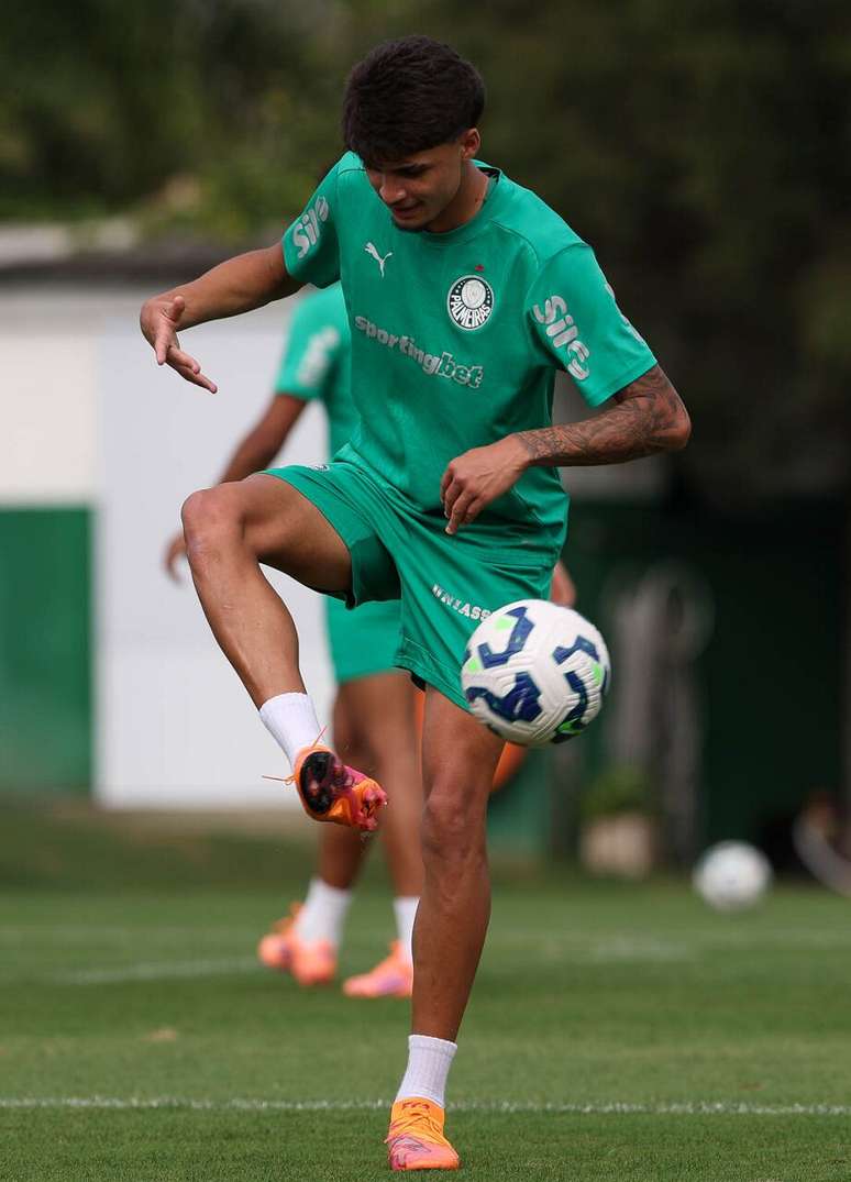Larson came to Palmeiras this year –