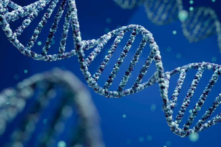 DNA testing of bones discovered in a Russian cave in 2008 revealed the existence of another previously unknown human group.