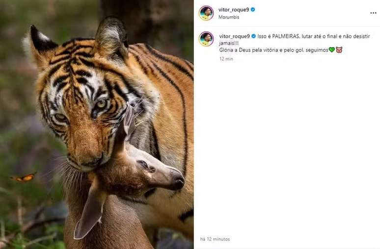 Vitor Roque made a homophobic post after Palmeiras' win against São Paulo –