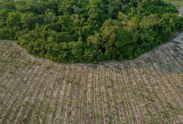 Eartshot Prize &ndash; Divulga&ccedil;&atilde;o