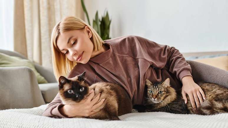Ambiente estável, rotina previsível e carinho: a receita para reduzir o estresse felino em casa – depositphotos.com / HayDmitriy