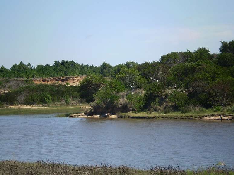 Cultura e comércio binacional: Da culinária aos free shops, moradores e turistas aproveitam produtos, moedas e tradições de ambos os países – Wikimedia Commons/ FrancoBras