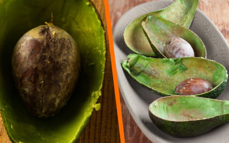 Directo al paladar México