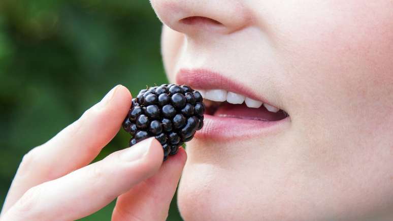 Versátil e aromático, o chá de amora pode ser consumido quente ou gelado e até integrar receitas leves e funcionais – depositphotos.com / Dandaman