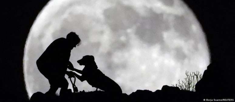 Análises de DNA e ossos antigos apontam que cães já tinham uma diversidade de crânios notável há mais de 10 mil anos