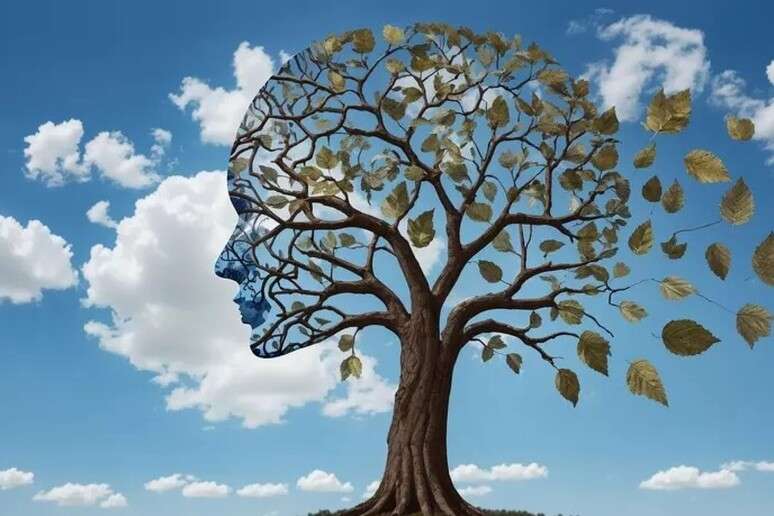 Novo estudo sobre Alzheimer ainda precisa de mais testes antes de ser realizado em humanos