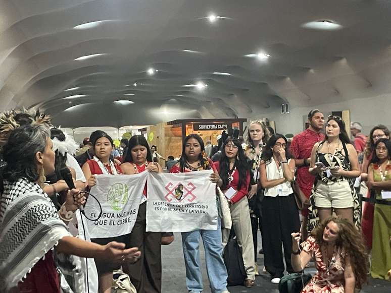 Ativistas pedem minuto de silêncio por animais e pela floresta