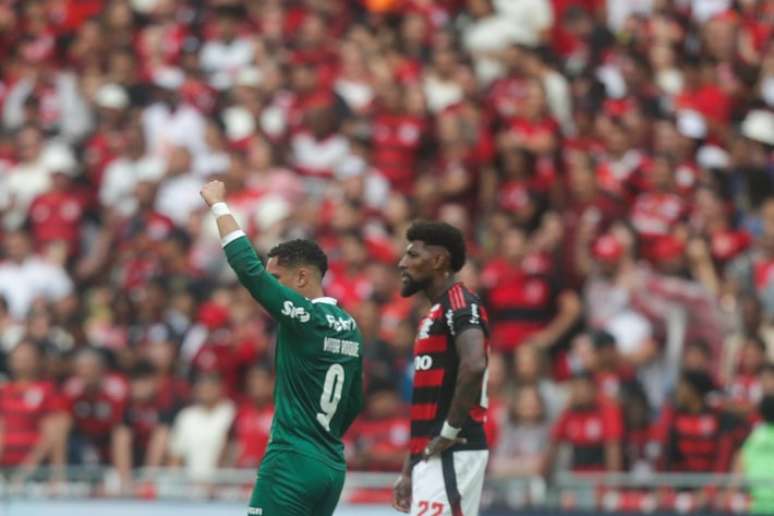 Flamengo e Palmeiras disputam o título do Brasileirão