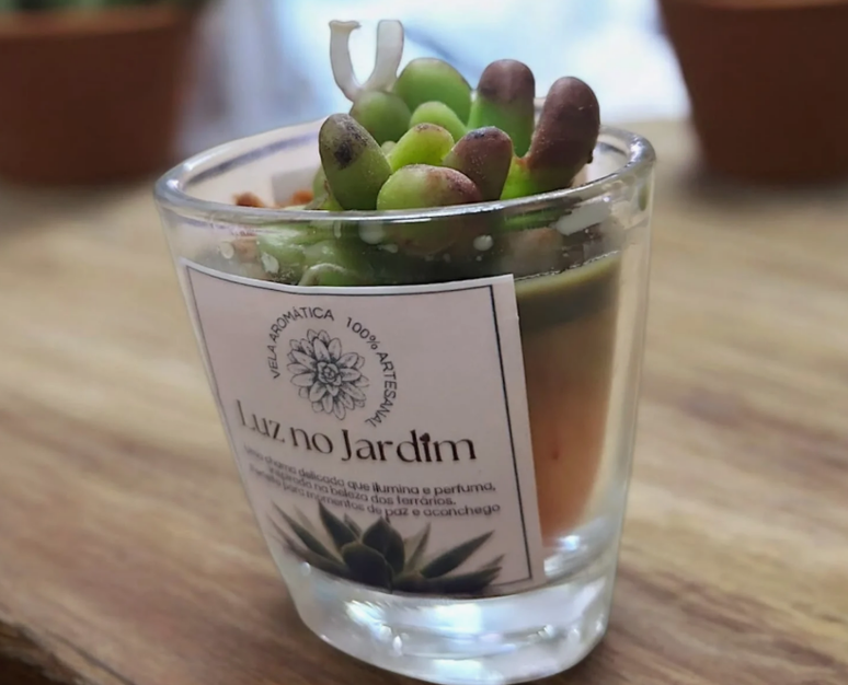 Vela arom&aacute;tica suculenta